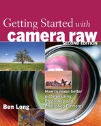 Getting Started with Camera Raw: How to make better pictures using Photoshop and Photoshop Elements, Second Edition 