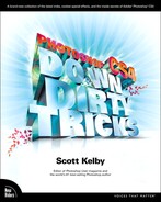 Cover image for Photoshop CS4 Down Dirty Tricks