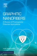 Cover image for Graphitic Nanofibers