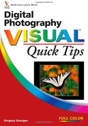 Cover image for Digital Photography Visual™ Quick Tips
