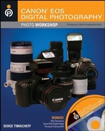 Cover image for Canon® EOS Digital Photography Photo Workshop