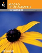 Cover image for Macro Photography Photo Workshop