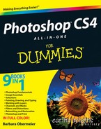 Photoshop® CS4 All-in-One For Dummies® 