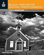 Cover image for Black and White Digital Photography Photo Workshop