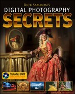 Cover image for Rick Sammon's Digital Photography Secrets