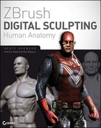 Cover image for ZBrush Digital Sculpting Human Anatomy