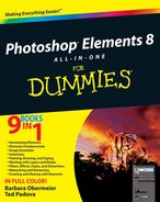 Cover image for Photoshop® Elements 8 All-in-One For Dummies®