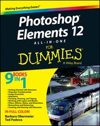 Cover image for Photoshop Elements 12 All-in-One For Dummies