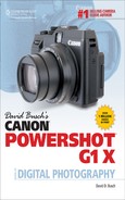 David Busch’s Canon® PowerShot® G1 X 