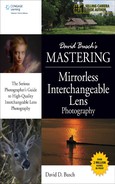 David Busch’s Mastering Mirrorless Interchangeable Lens Photography 