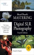 David Busch’s Mastering Digital SLR Photography 