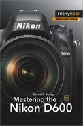 Mastering the Nikon D600 