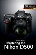 Mastering the Nikon D500 
