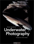 Cover image for Underwater Photography