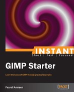 Cover image for Instant GIMP Starter