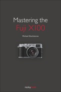 Cover image for Mastering the Fuji X100