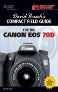 David Busch’s Compact Field Guide for the Canon® EOS® 70D 