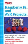 Make: Raspberry Pi and AVR Projects 