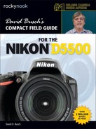 Cover image for David Busch’s Compact Field Guide for the Nikon D5500