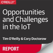 Opportunities and Challenges in the IoT 