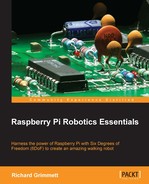 Programming on Raspberry Pi