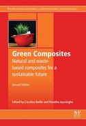 Green Composites, 2nd Edition by Randika Jayasinghe, Caroline Baillie