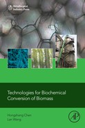 Technologies for Biochemical Conversion of Biomass by Lan Wang, Hongzhang Chen