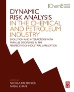 Dynamic Risk Analysis in the Chemical and Petroleum Industry 