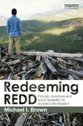 Redeeming REDD 