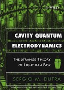 Cavity Quantum Electrodynamics: The Strange Theory of Light in a Box 