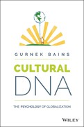 Cover image for Cultural DNA: The Psychology of Globalization