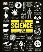 Cover image for The Science Book
