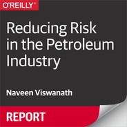 Reducing Risk in the Petroleum Industry 