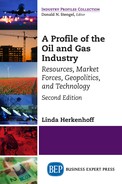 A Profile of the Oil and Gas Industry, Second Edition 