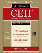 CEH Certified Ethical Hacker All-in-One Exam Guide, Second Edition, 2nd Edition 