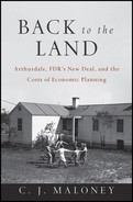 Back to the Land: Arthurdale, FDR's New Deal, and the Costs of Economic Planning 