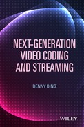 Next-Generation Video Coding and Streaming 