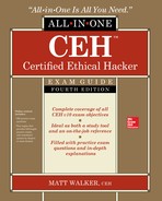 CEH Certified Ethical Hacker All-in-One Exam Guide, Fourth Edition, 4th Edition by Matt Walker
