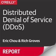 Cover image for Distributed Denial of Service (DDoS)