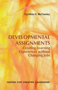 Cover image for Developmental Assignments: Creating Learning Experiences Without Changing Jobs