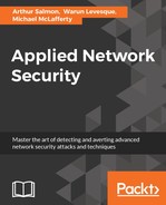 Advanced Network Attacks