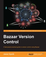 Bazaar Version Control 