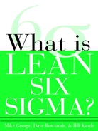 Cover image for What is Lean Six Sigma?