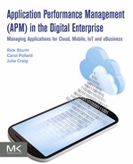 Application Performance Management (APM) in the Digital Enterprise 