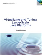 Virtualizing and Tuning Large-Scale Java Platforms 