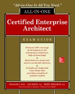 Certified Enterprise Architect All-in-One Exam Guide 