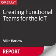 Creating Functional Teams for the IoT 