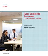 Cover image for iExec Enterprise Essentials Companion Guide