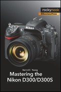 Mastering the Nikon D300/D300S 