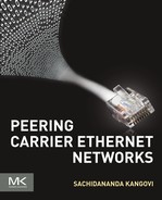 Peering Carrier Ethernet Networks 